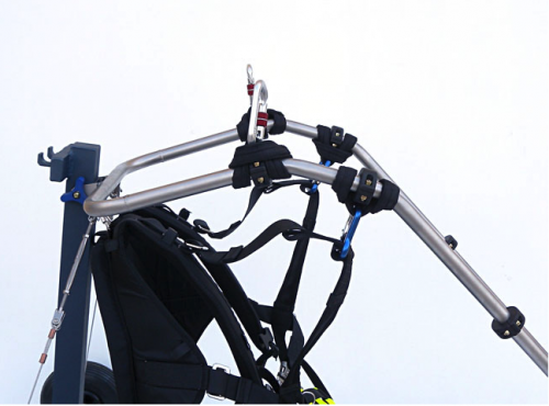 paramotor trike for sale